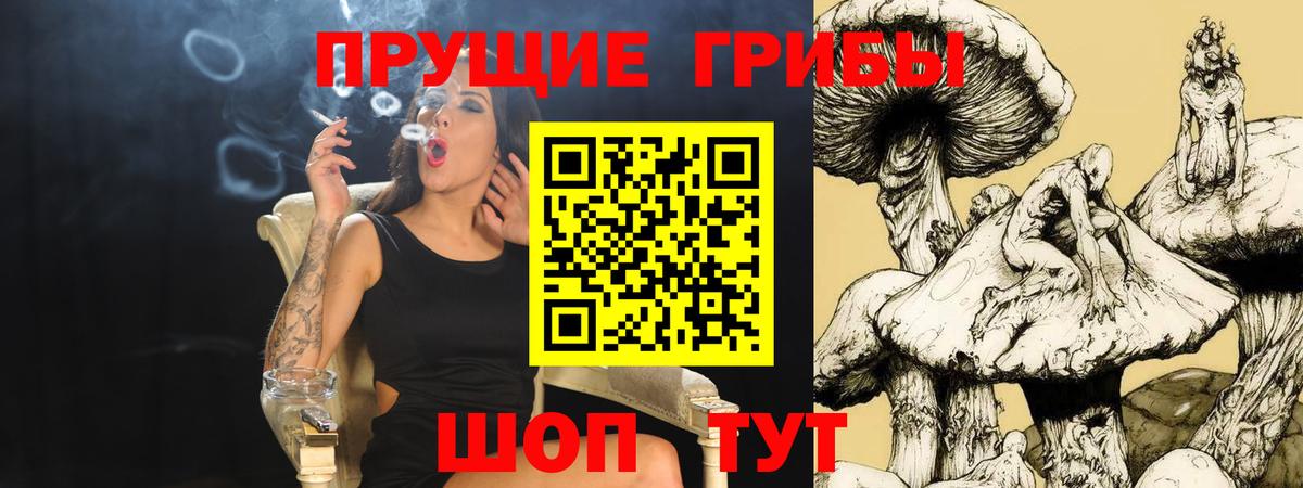 Пугачёв  где купить наркоту  Вход с VPN  Галлюциногенные грибы Magic Shrooms 