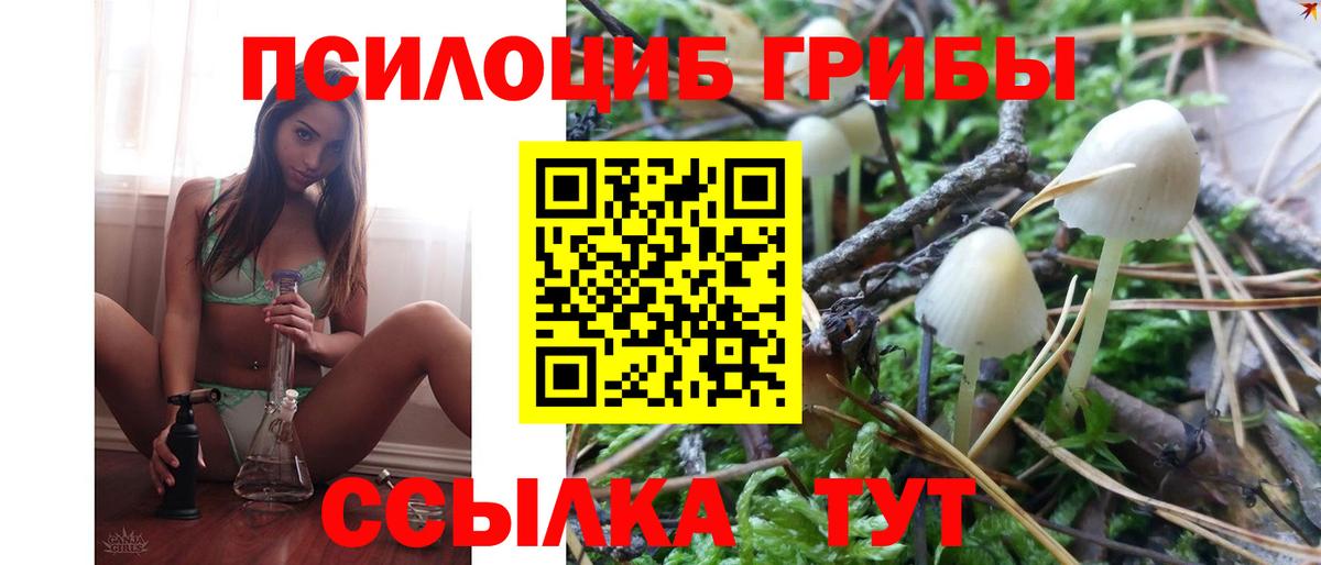 Галлюциногенные грибы Cubensis Пугачёв